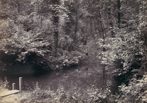 Colwyn Bay. Het zwembad in het bos, 1870s