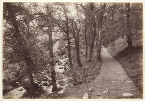 Dolgelley, Zicht in Torrent Walk