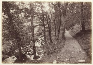 Dolgelley, uitzicht in Torrent Walk, 1860-94