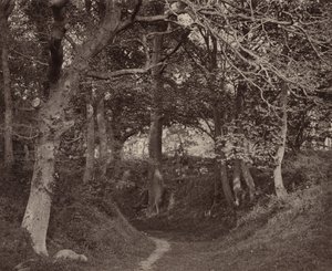 Glen Kenilworth,c. 1868 (foto) door Francis Bedford