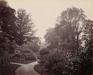 Pad in Alexandra Park, ca. 1863 (foto) door Francis Bedford