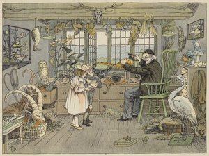 Bird-Stuffer (kleurenlitho) door Francis Donkin Bedford