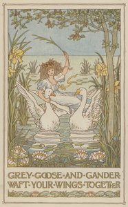 Grauwe gans en snoekbaars vleugels samen (kleurenlitho) door Francis Donkin Bedford