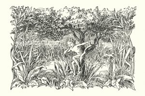 Vrolijk Engeland: Robin Goodfellow (litho) door Francis Donkin Bedford