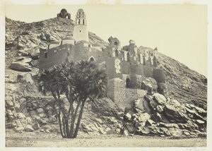 Doumpalm en verwoeste moskee, Philæ door Francis Frith