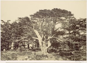  door Francis Frith