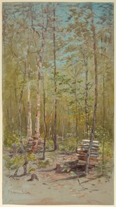 Berkenbomen door Francis Hopkinson Smith