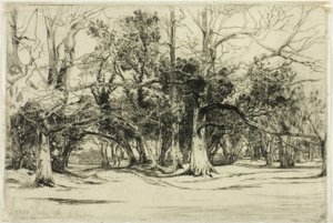 Een zijweg in Tipperary door Francis Seymour Haden