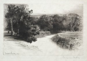 Een zonsondergang in Ierland, 1863