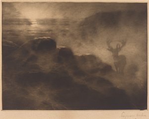 Een Vroege Vogel door Francis Seymour Haden