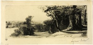 Vroege ochtend, Richmond Park door Francis Seymour Haden