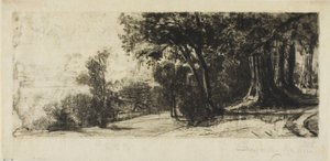 Vroege Ochtend, Richmond Park door Francis Seymour Haden