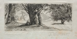 Hulstveld door Francis Seymour Haden