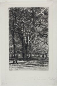 Kensington Gardens, No. II (grote plaat) door Francis Seymour Haden