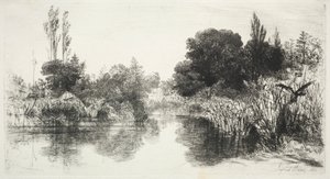 Share Mill Vijver door Francis Seymour Haden