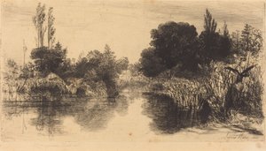 Shere Mill Pond (De Grotere Plaat)