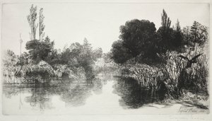 Shere Mill Pond, No. 11 (De Grote Plaat) door Francis Seymour Haden