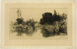 Shere Mill Pond, nr. II (grote plaat)