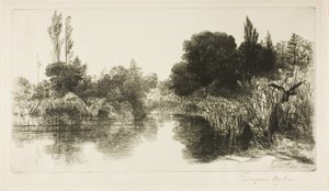 Shere Mill Pond, No. II (grote plaat) door Francis Seymour Haden