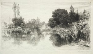 Shere Mill Pond De Grotere Plaat, 1860 door Francis Seymour Haden