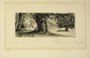 De hulvelden door Francis Seymour Haden