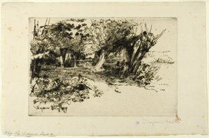 De Wilgen