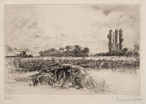 Waterweide