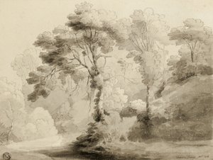 Bosrijk landschap door Francis Towne