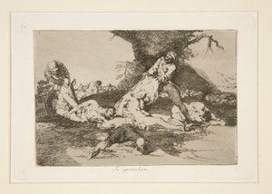 Ze maken er gebruik van, pl. 16 uit Los desastres de la guerra (De Rampen van de Oorlog)