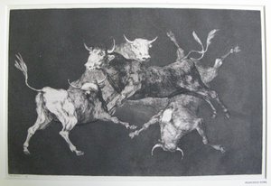 Dwaasheid van Dwazen door Francisco Jose de Goya y Lucientes