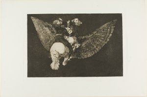 Verlaat de Vriend Die Je Bedekt met Zijn Vleugels en Je Bijt met Zijn Snavel, plaat vijf uit Los Proverbios door Francisco Jose de Goya y Lucientes