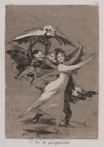 Je Zal Niet Ontsnappen door Francisco de Goya