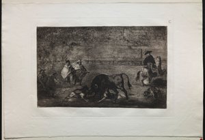 Stierengevechten: De Hond Losgelaten op de Stier