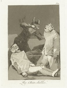 De Chinchillas door Francisco de Goya