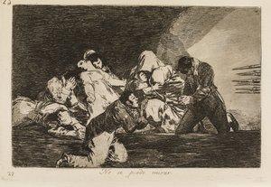 Het is niet te zien (26) door Francisco de Goya