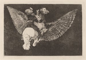 Disparate volante