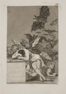 De slaap van de rede brengt monsters voort door Francisco de Goya