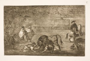 De honden worden op de stier losgelaten door Francisco de Goya