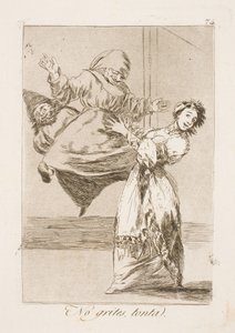 Hou op met schreeuwen, idioot! door Francisco de Goya