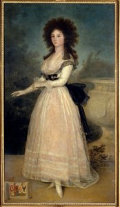 Portret van Dona Tadea Arias de Enriquez door Francisco de Goya