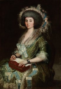 Portret van Doña Manuela Camas, de vrouw van Ceán Bermúdez door Francisco de Goya