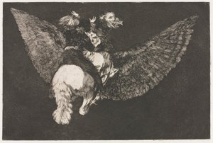 De Spreekwoorden: Vliegende Dwaasheid
