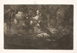 Onze Heer schept hen, en ze eindigen in mooie vereniging / Vogels van dezelfde veer vliegen samen door Francisco de Goya