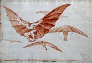 Manieren van Vliegen door Francisco de Goya