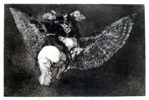Gevleugelde Onzin