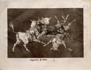 Dwaasheid van de Nar door Francisco de Goya