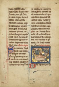 Een egel uit een bestiarium Ms Ludwig XV 4, fol. 82, c.1280-1300 door Franco Flemish School