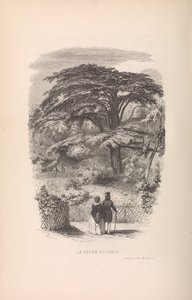 Le Jardin des Plantes, Beschrijvingen en gewoonten van de zoogdieren, 1842