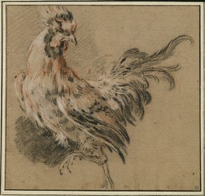 Studie van een haan door François Boucher