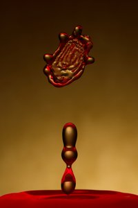 Dynamic Gold Red Splash door Francois Casanova